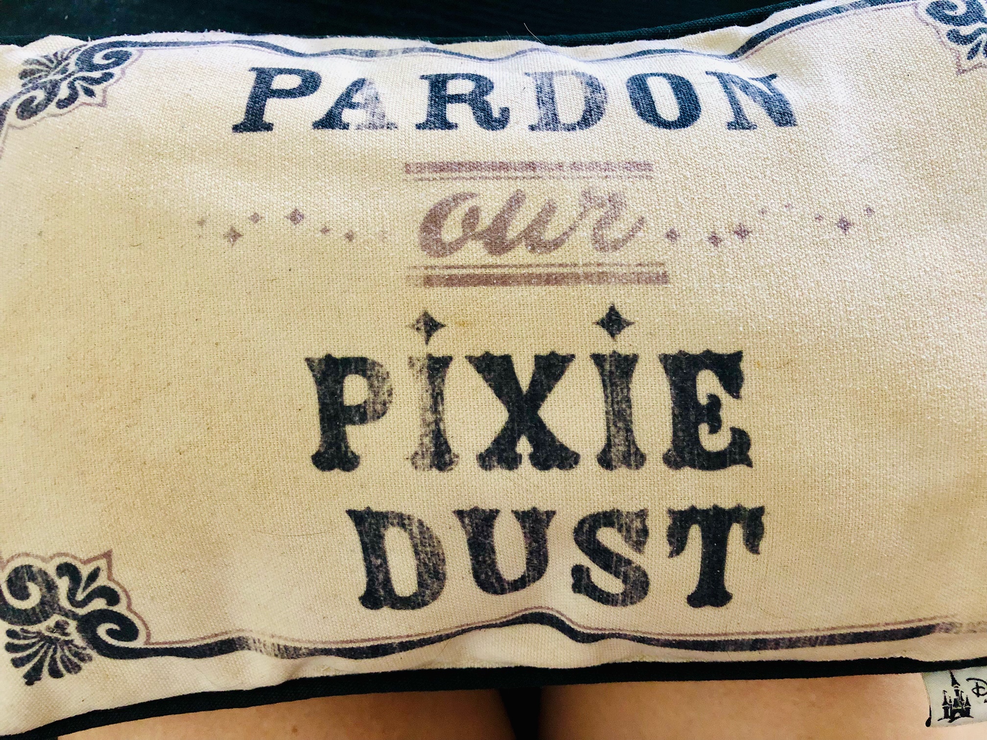 Pardon Our Pixie Dust