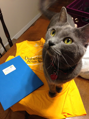 Ruffian approves of the Diabetes Action Team