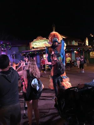 Disney's Animal Kingdom dance party