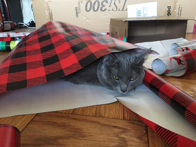Cat in wrapping paper