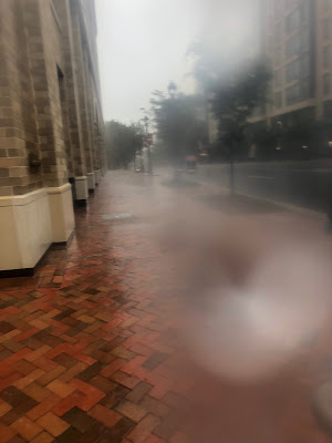 Rainy run