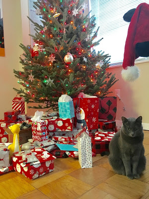 Christmas cat