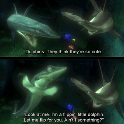Sharks vs dolphins
