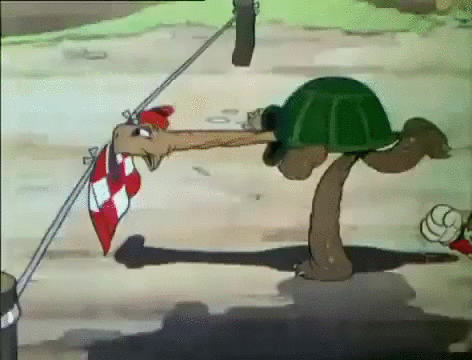 Tortoise & The Hare