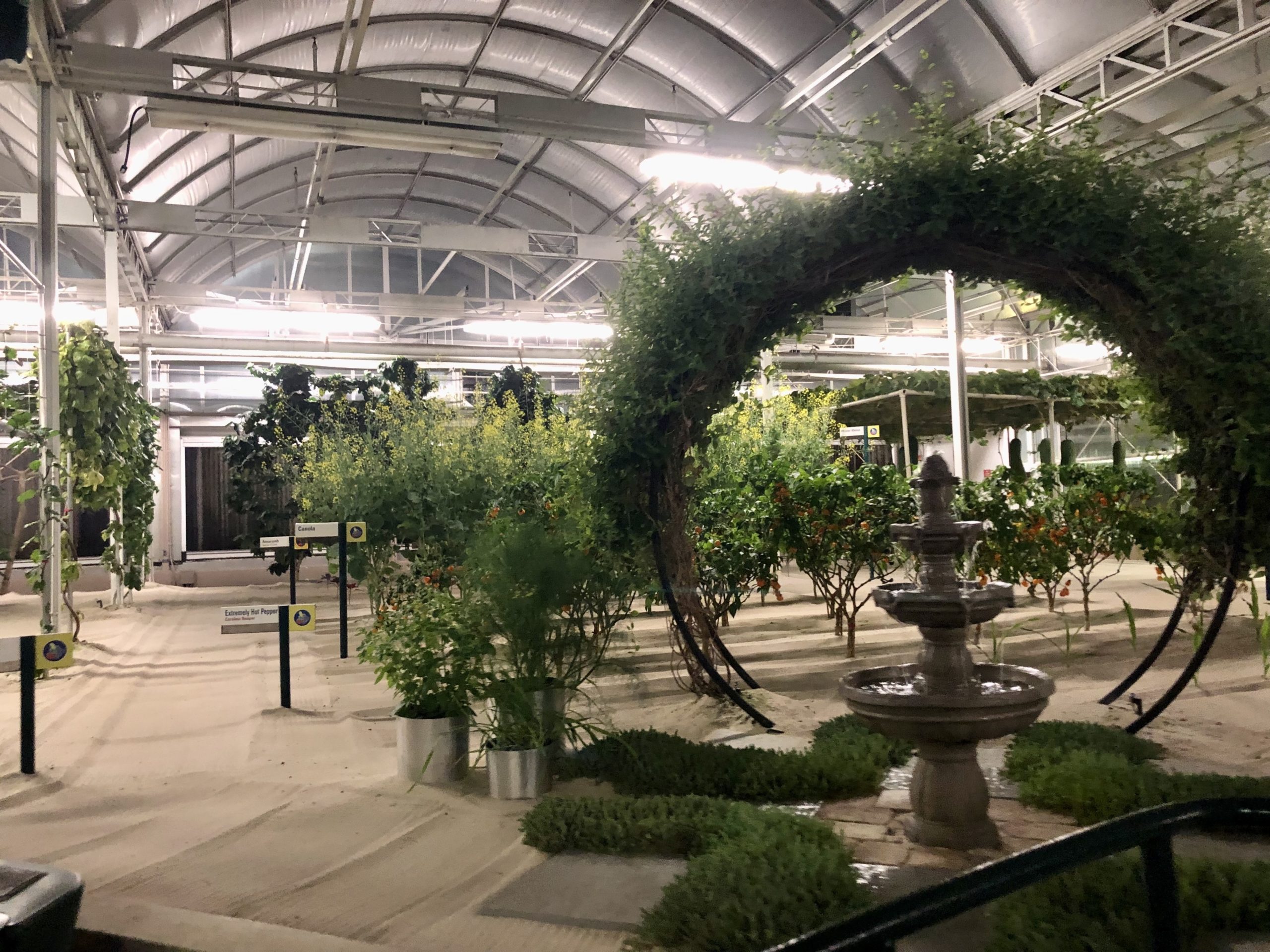 WDW trip report - Living with the Land at Night