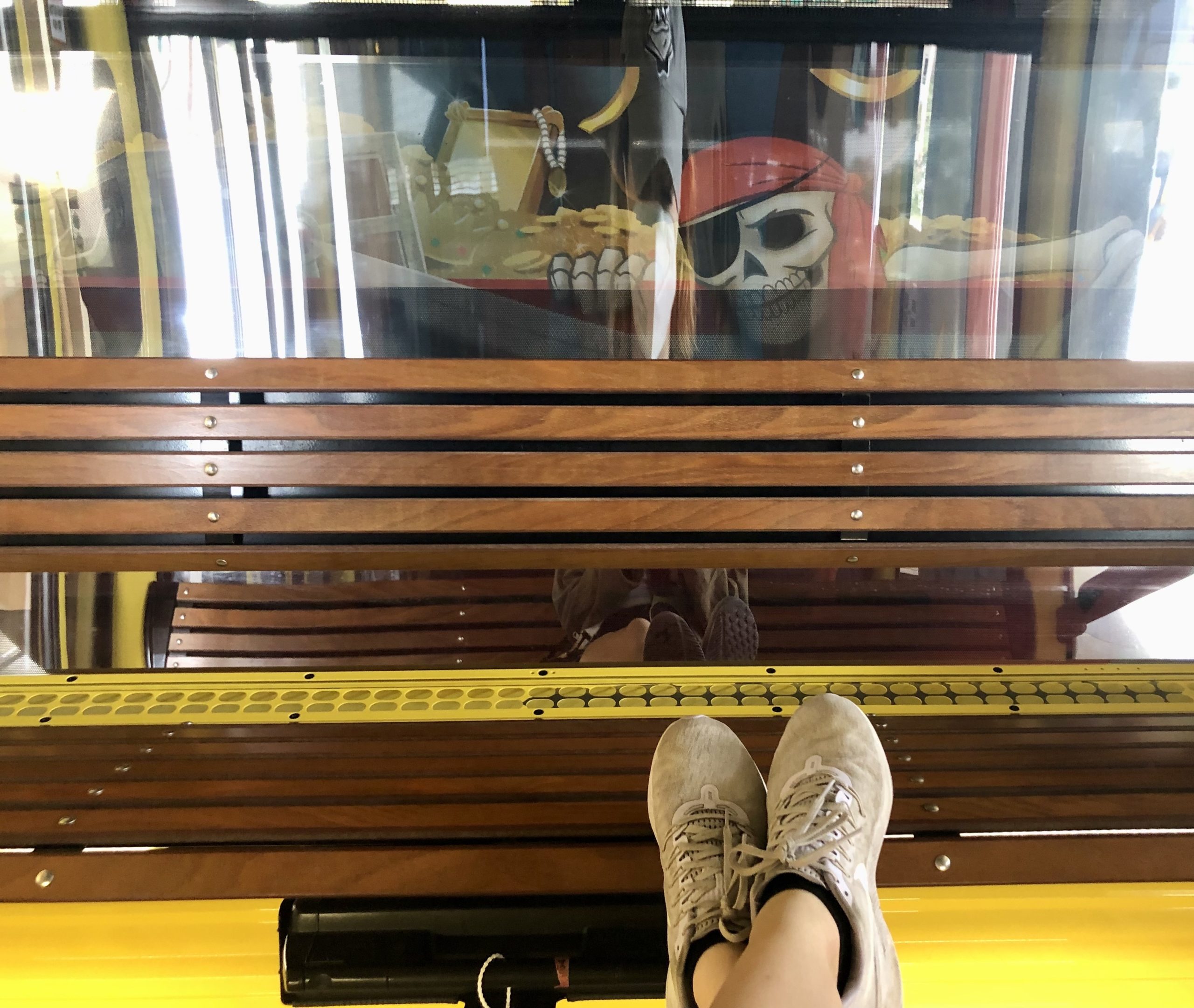 WDW trip report - Skyliner