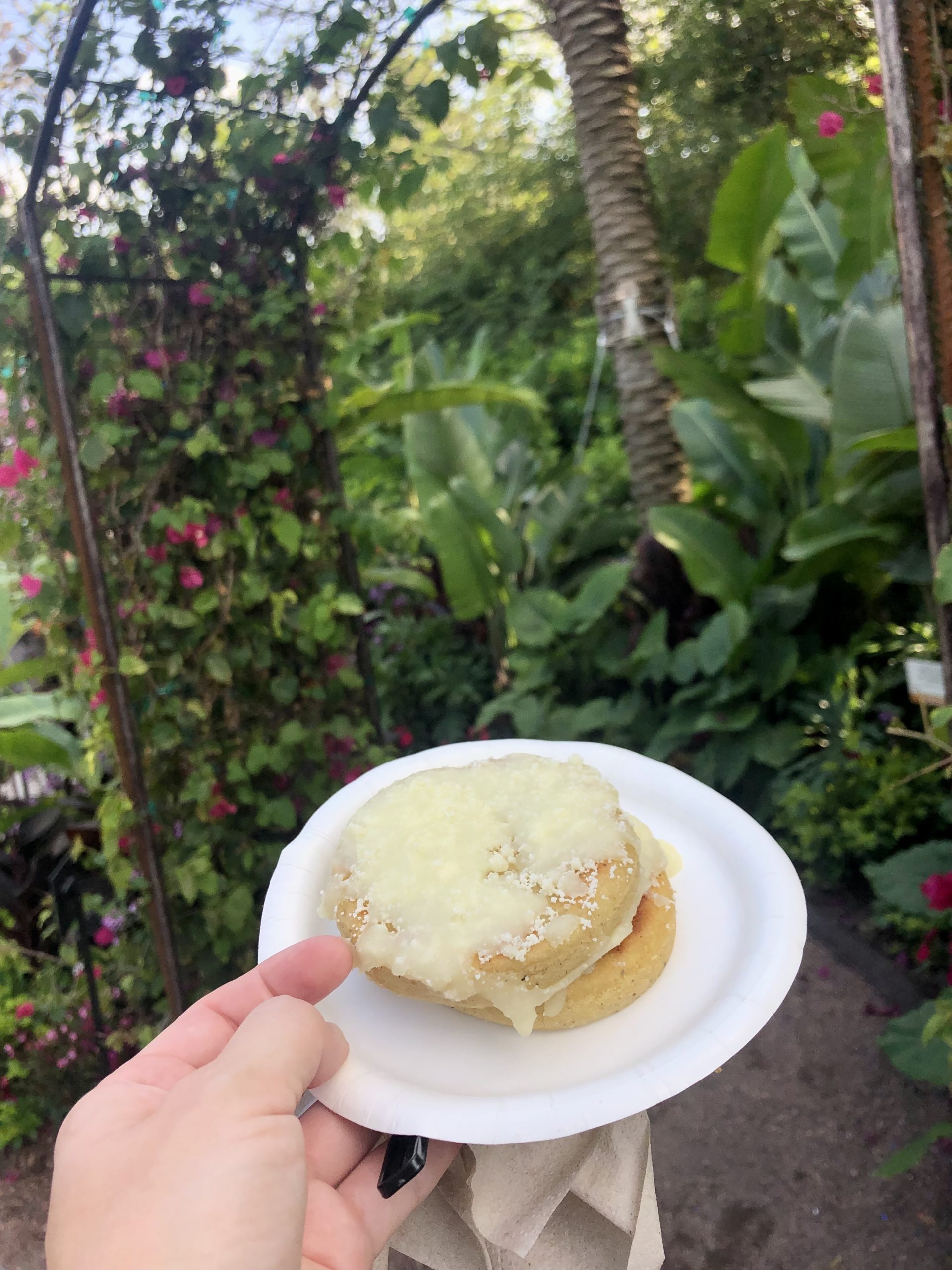 Epcot Flower & Garden Festival - Arepas