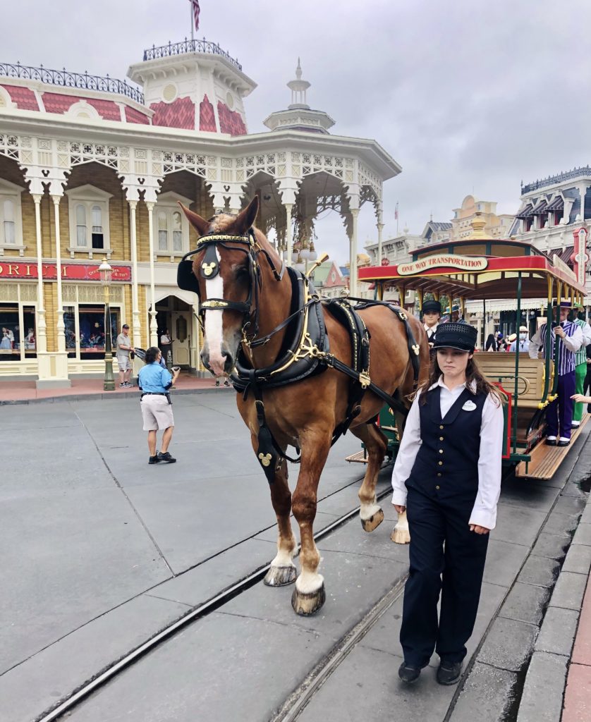 WDW trip report - Trolley and Dapper Dans