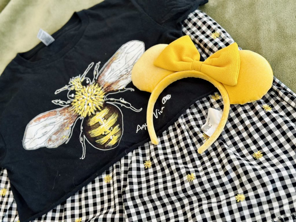 Disney wardrobe