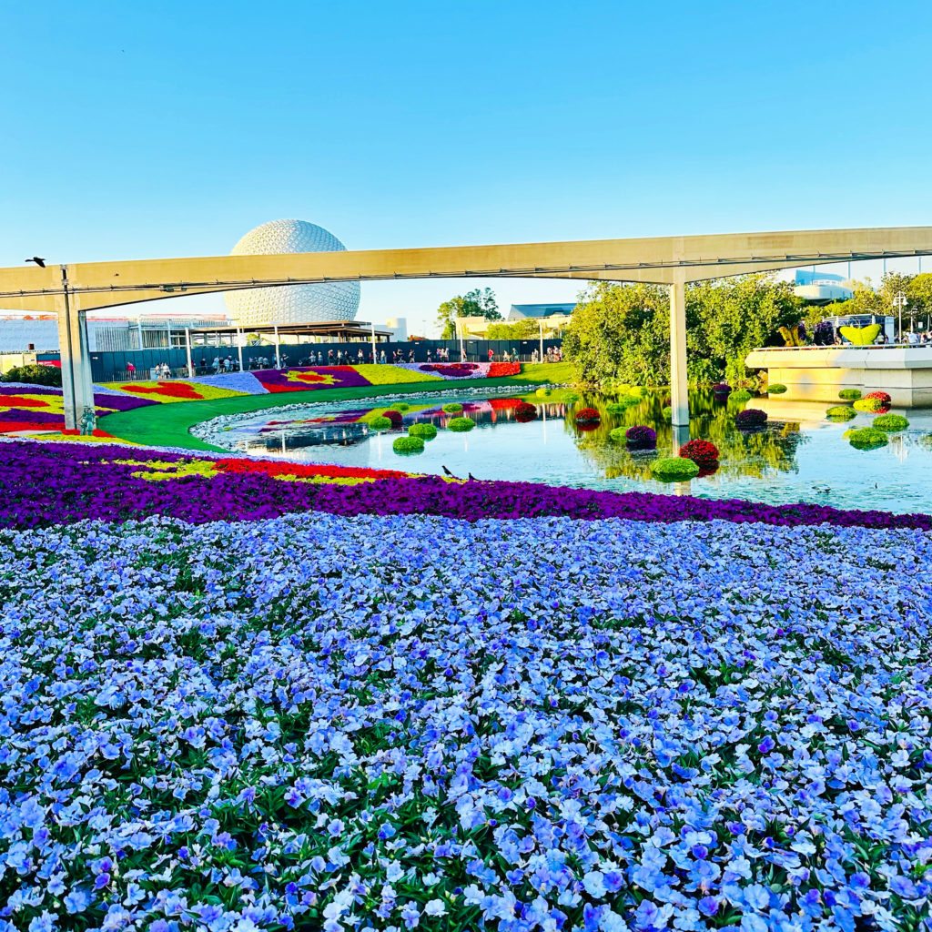 WDW trip report - Spaceship Earth Flower and Garden Festival