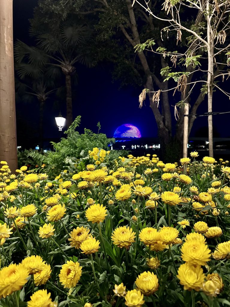 WDW trip report - Spaceship Earth Flower and Garden Festival night