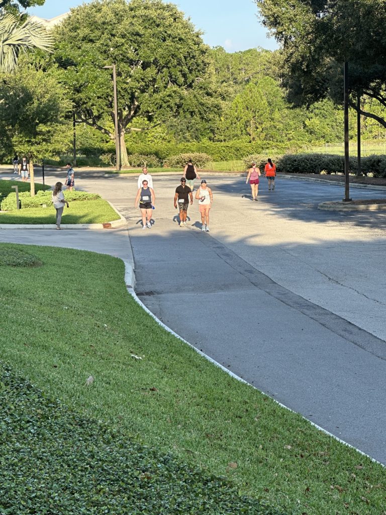 Tessitura 5K