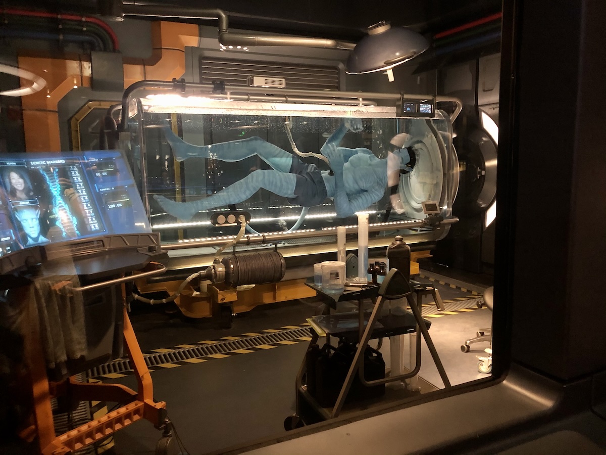Avatar In Flight of Passage queue