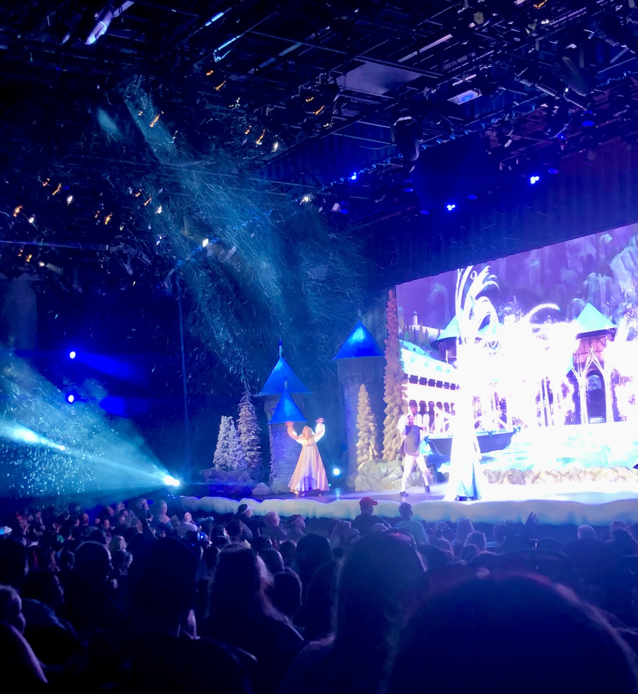 Disney's Hollywood Studios Frozen singalong snow