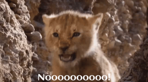 Disney live action Lion King
